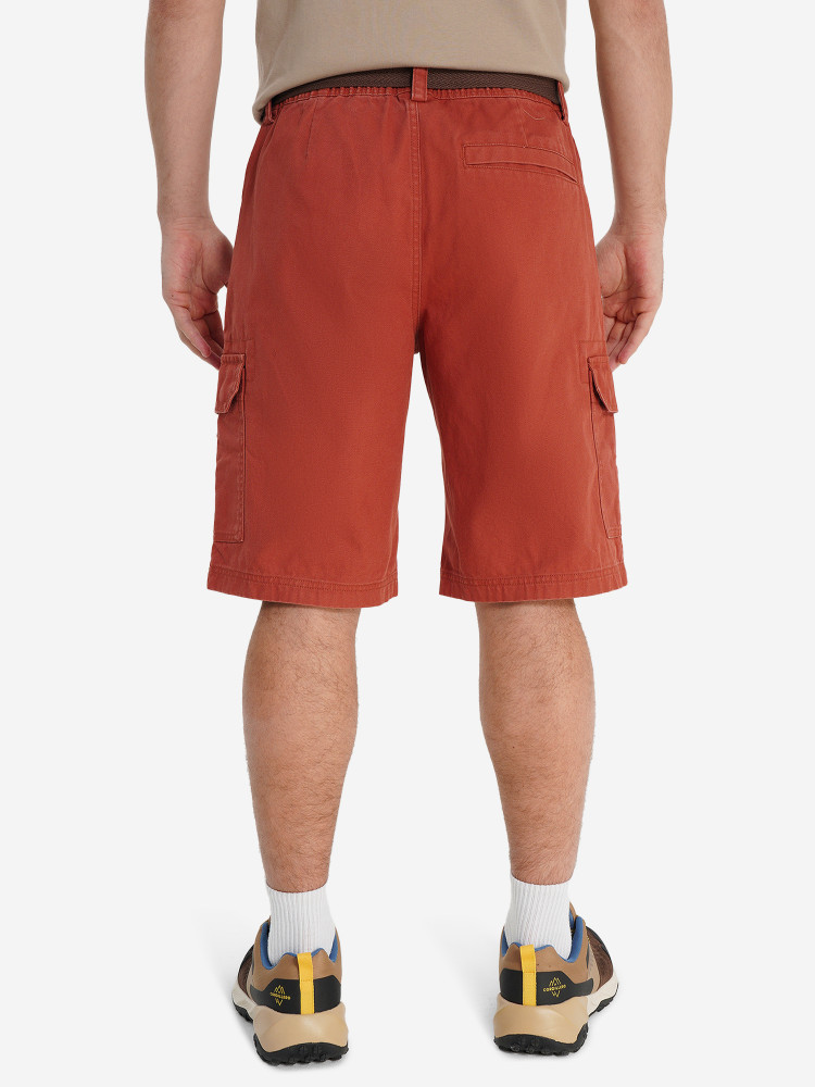 Шорты мужские Cordillero - фото 3