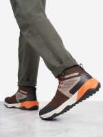 коричневый