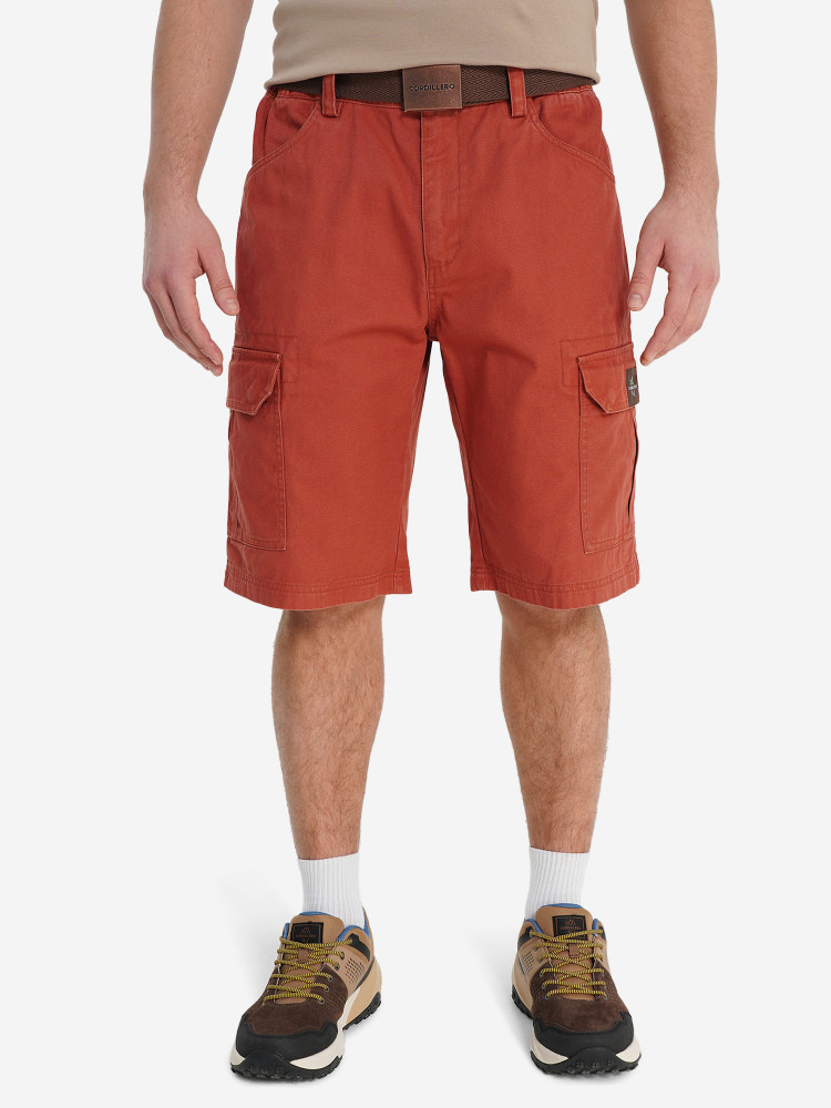 Шорты мужские Cordillero - фото 2