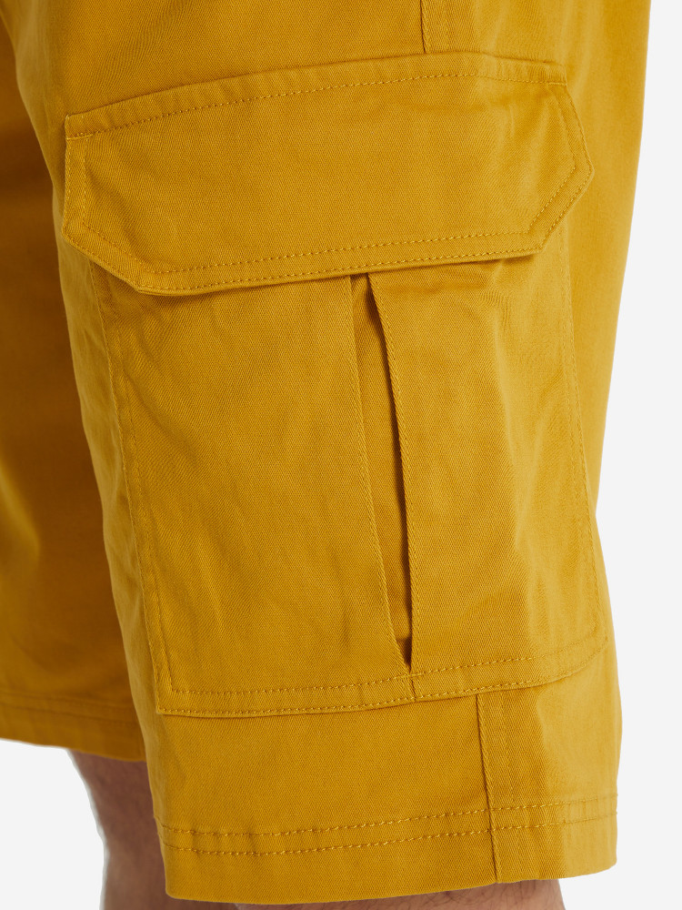 Шорты мужские Cordillero - фото 5